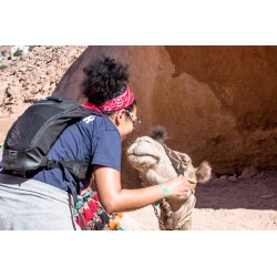 Sinai multi-level hike