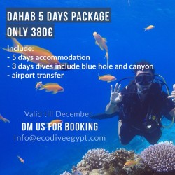 DAHAB 5 DAYS PACKAGE OFFER